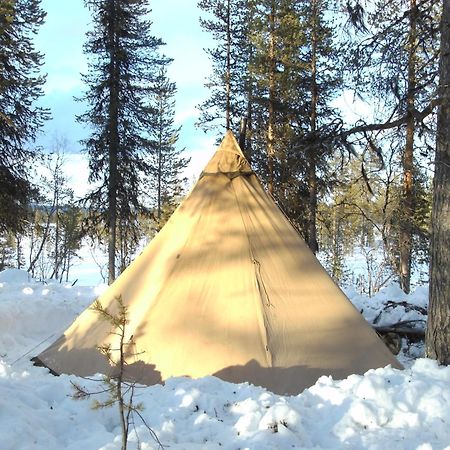 Reindeer Lodge Jukkasjärvi Kültér fotó