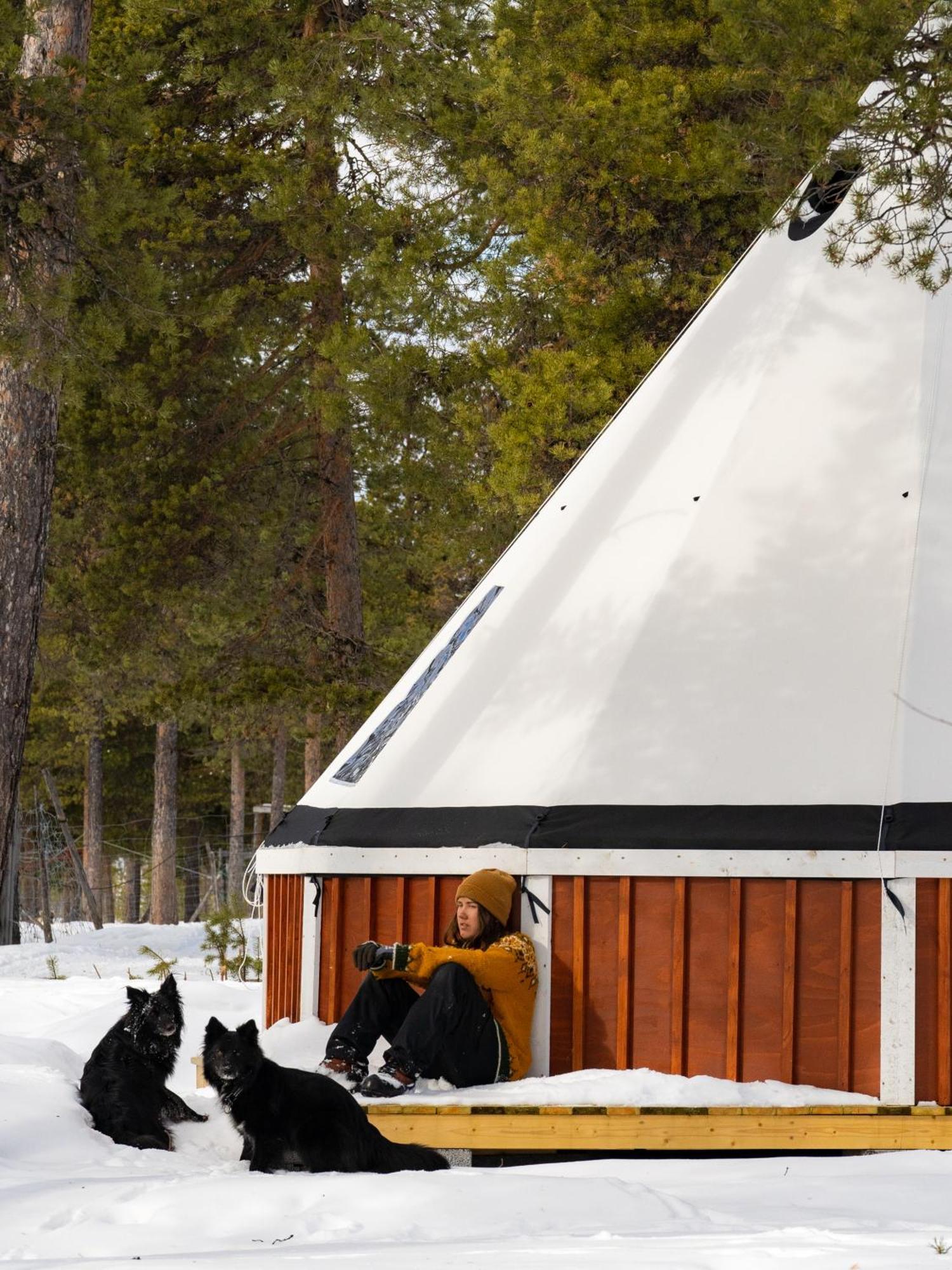 Reindeer Lodge Jukkasjärvi Kültér fotó