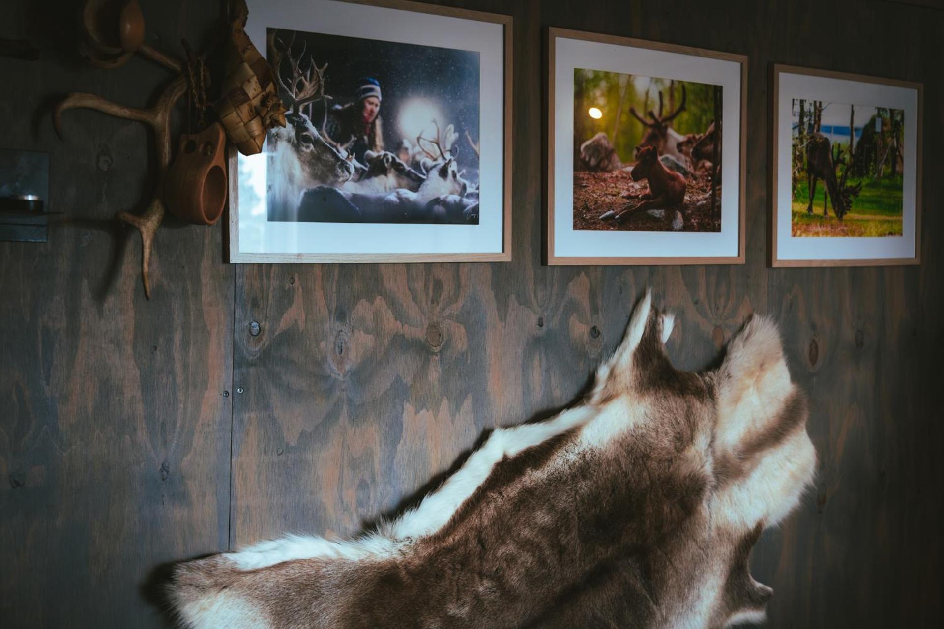 Reindeer Lodge Jukkasjärvi Kültér fotó